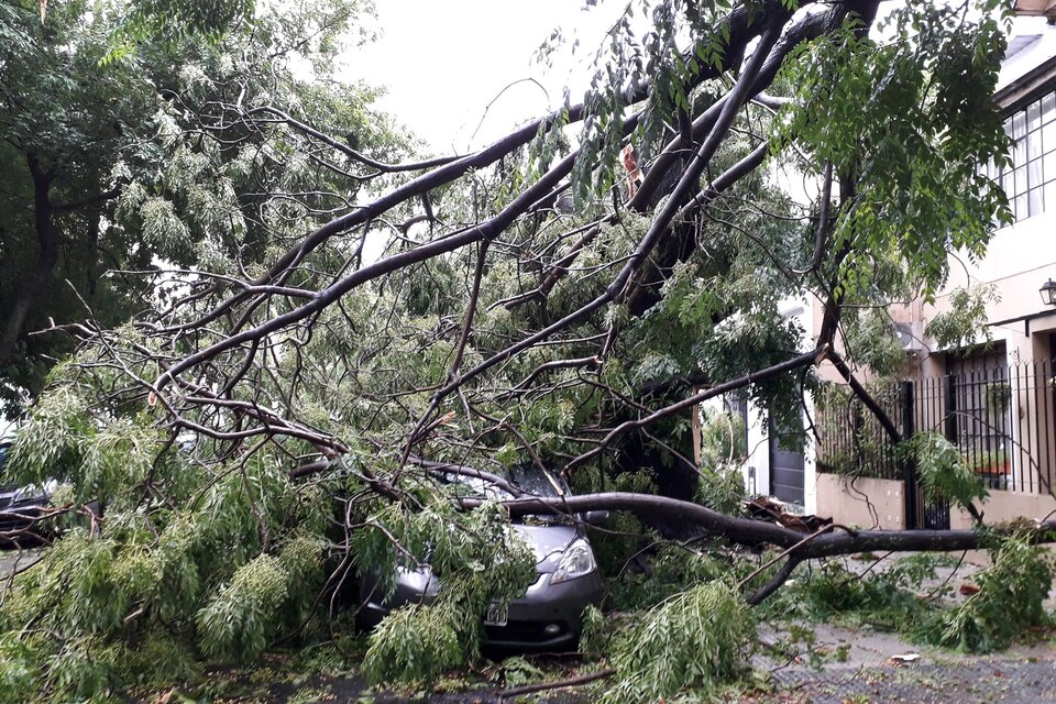 Una imagen de la destrucción que el temporal provocó en Villa Pueyrredón (Fuente: Carolina Camps)