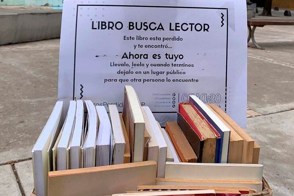 Hasta ahora se distribuyeron unos 42 mil libros en forma gratuita. (Fuente: Casa de los 20)