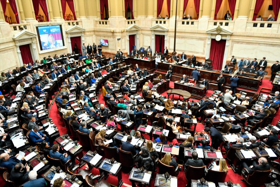 En el Congreso de la Nación, el oficialismo cuenta solamente con 38 diputados y 7 senadores. (Fuente: NA)