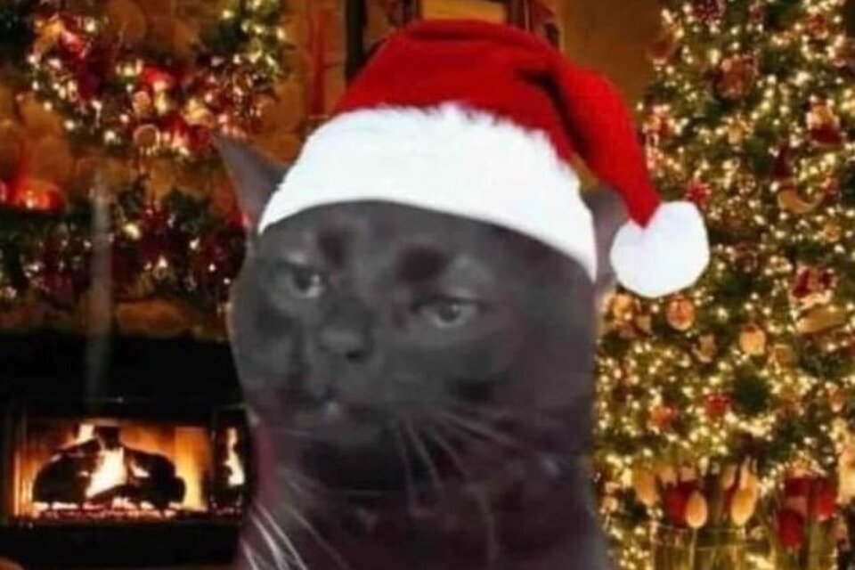 Los mejores memes para enviar por WhatsApp en Navidad. (Imagen: Twitter / @elespacioviral)