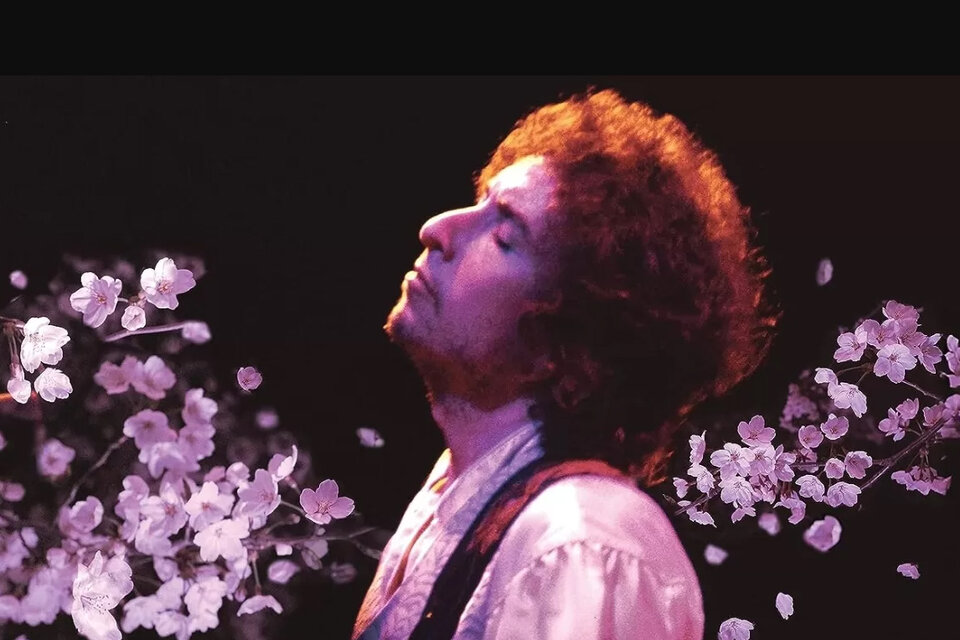 Bob Dylan hizo 114 conciertos durante 1978, incluidos los 8 en Japón.