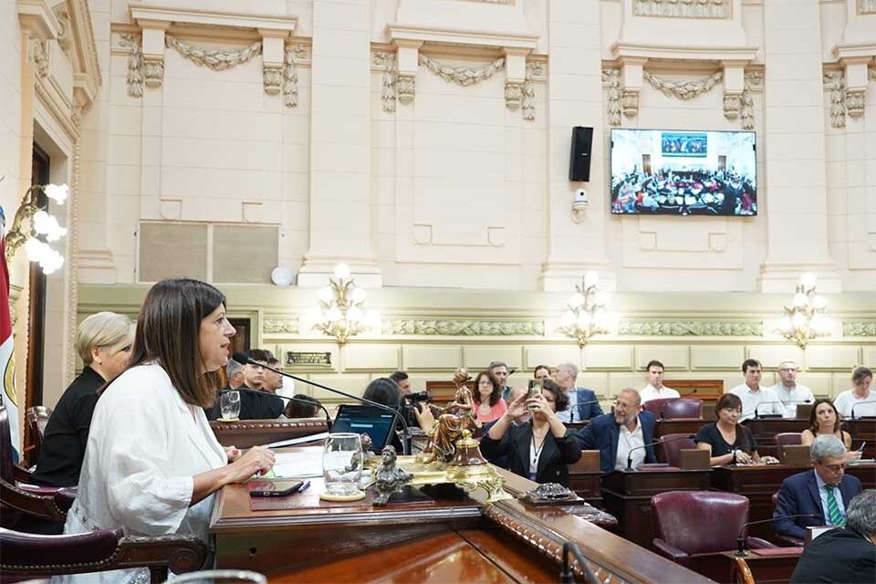 Clara García presidió la sesión de la Cámara baja. (Fuente: Prensa/Diputados)