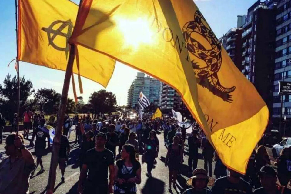 La bandera amarilla con una serpiente cascabel como emblema, ya flamea en Montevideo.