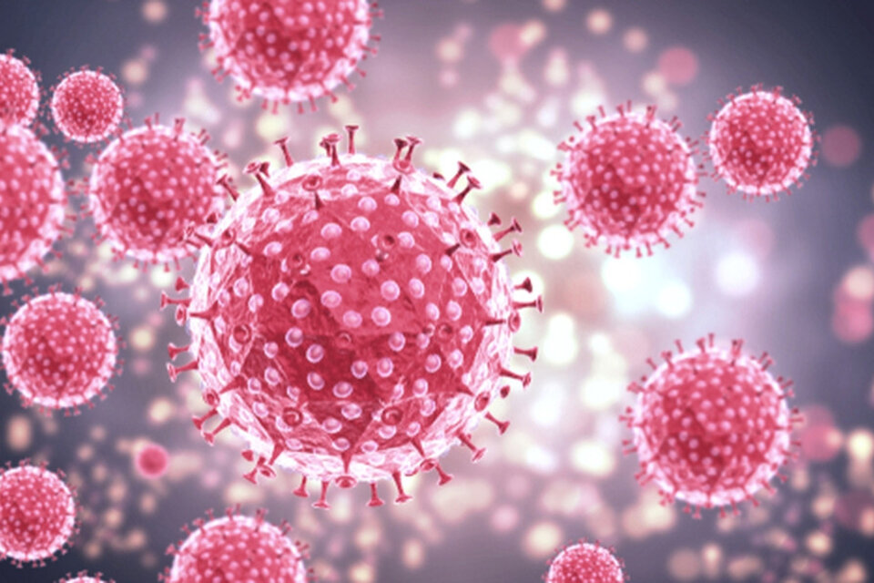 Qué es el HPV: cómo prevenirlo y curarlo