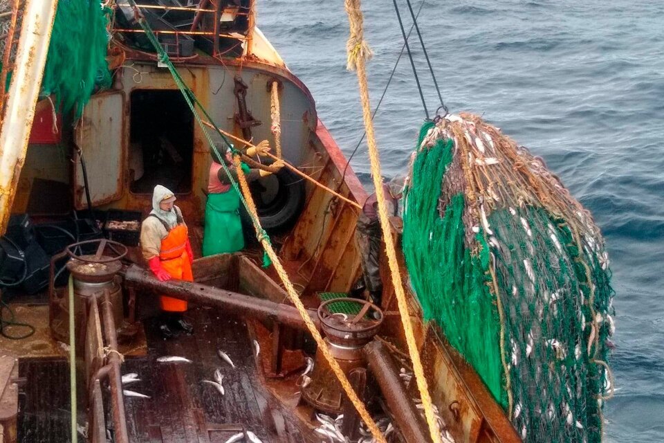 El sindicato pesquero en alerta por la ley ómnibus: peligran miles de puestos de trabajo 
