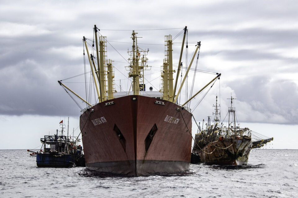 La ley Omnibus proponía un régimen totalmente favorable a las pesqueras extranjeras