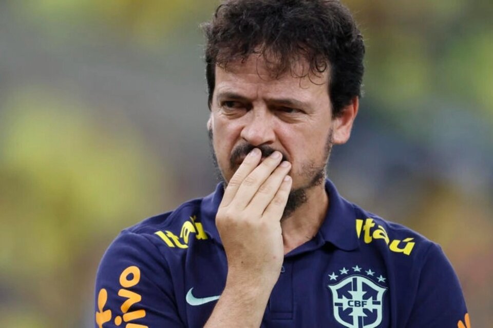 Diniz fue desplazado de su cargo por la Confederación Brasileña de Fútbol