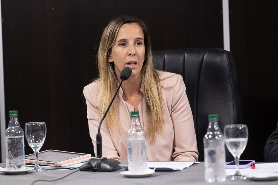  Lucía Iañez, diputada provincial de Unión por la Patria. 