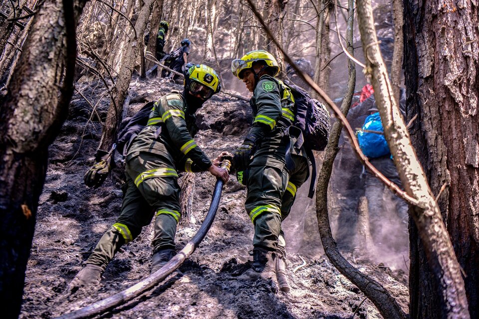 Los bomberos trabajan para controlar el fuego que se expande, producto de la sequía. (Fuente: AFP)