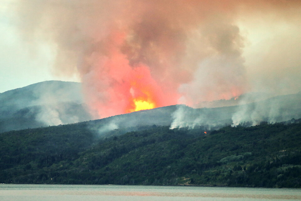 El fuego en Los Alerces lleva cinco días activo. (Fuente: AFP)