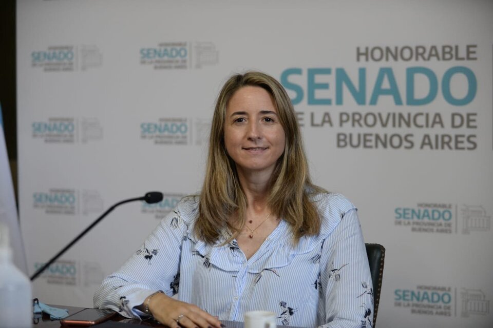 Flavia Delmonte, senadora bonaerense. 