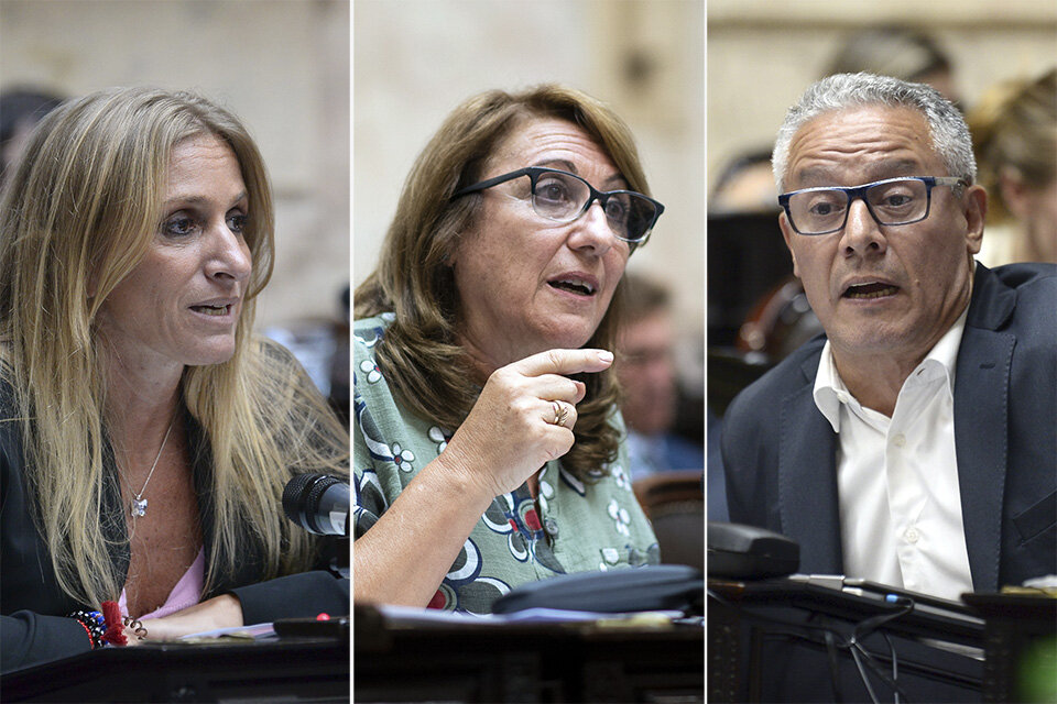 Carignano, Fein y Nuñez, tres expresiones políticas en el Congreso.