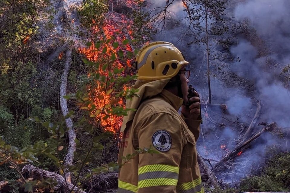 El fuego sigue activo en el Parque Nacional Los Alerces: las altas temperaturas complejizan el combate del incendio. (Imagen: @pn_los_alerces)