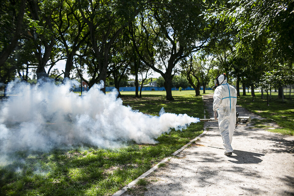 Ante la invación de mosquitos, los municipios avanzan con la fumigación. 