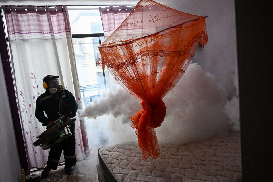 Intensifican la fumigación para evitar la presencia del mosquito. (Fuente: AFP)