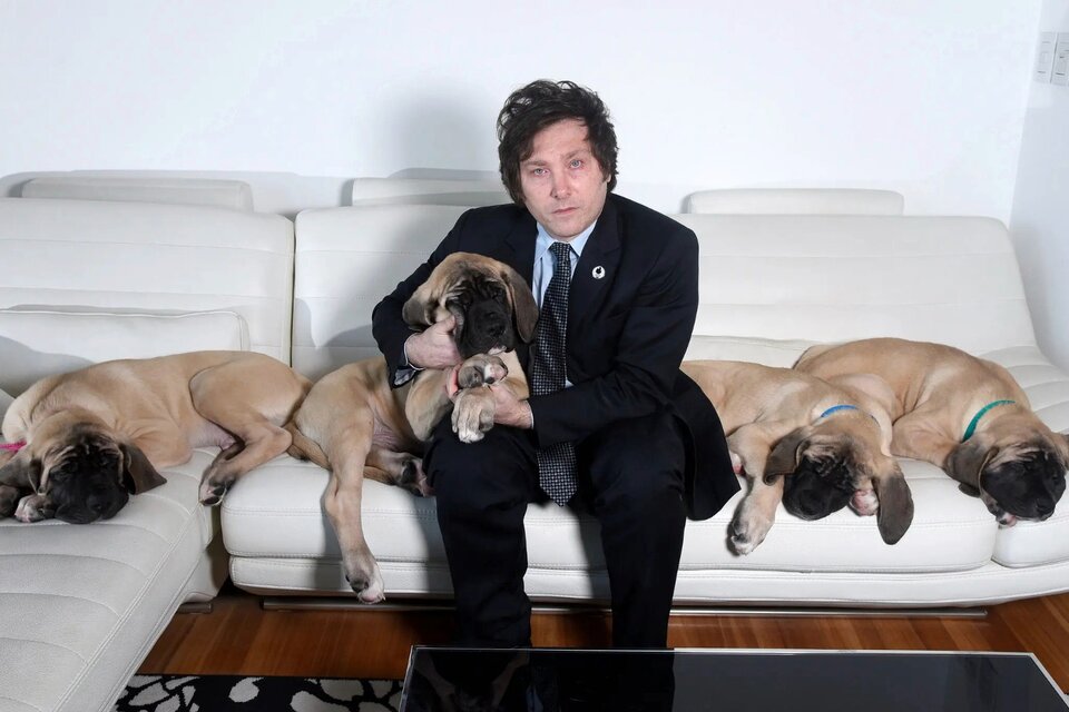 Javier Milei con sus perros clonados. (Fuente: Gentileza Caras)