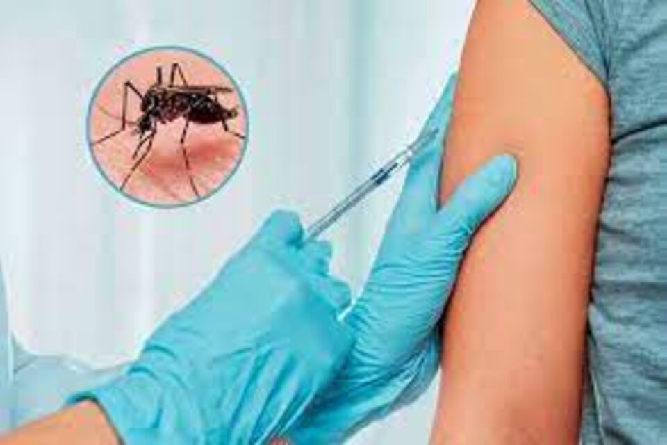 Nación puso en duda la efectividad de la vacuna contra el dengue