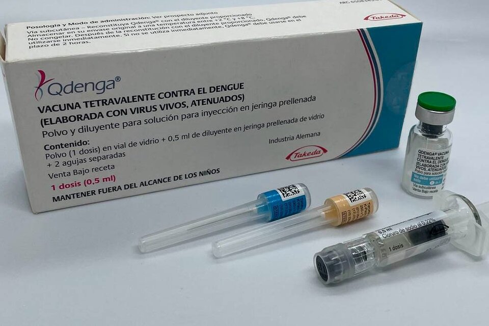 Dengue: todo lo que hay que saber sobre la vacuna 