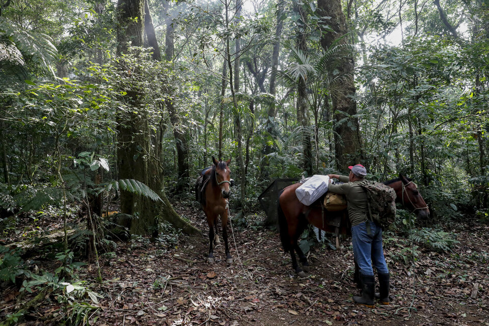 Human Rights Watch cuestionó a Colombia y Panamá por no proteger a quienes cruzan el Darién (Fuente: EFE)