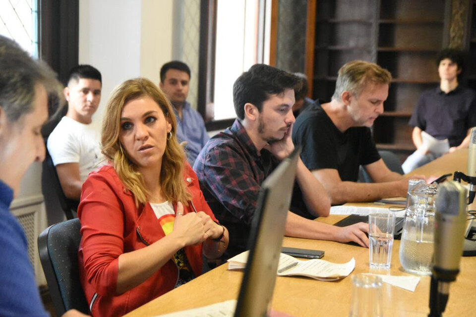 Concejala Fernanda Gigliani, presidenta de la comisión.