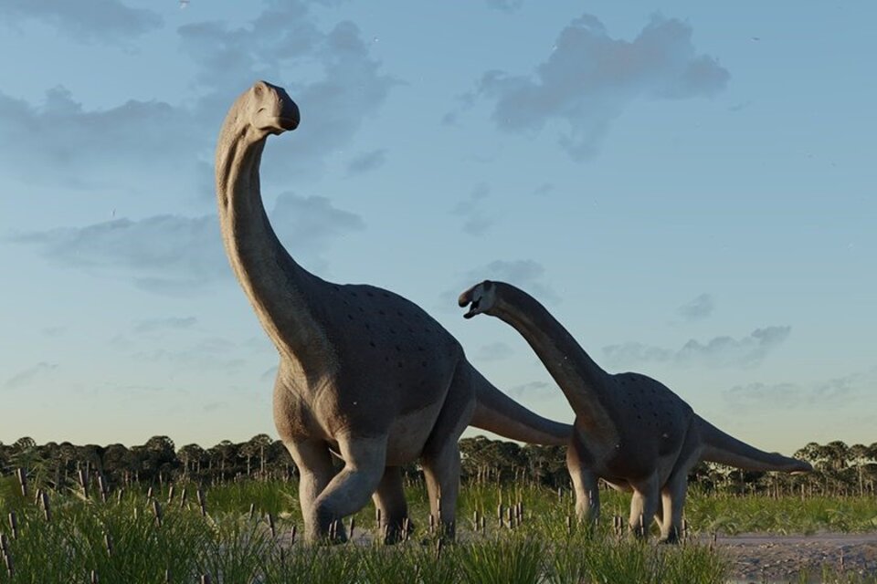 Científicos del Conicet descubren restos de un titanosaurio que vivió hace 66 millones de años
