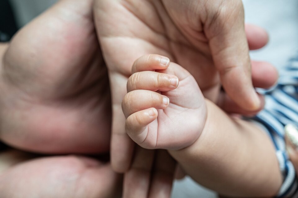 Pluriparentalidad en Cipolletti: reconocer la paternidad más allá del vínculo biológico