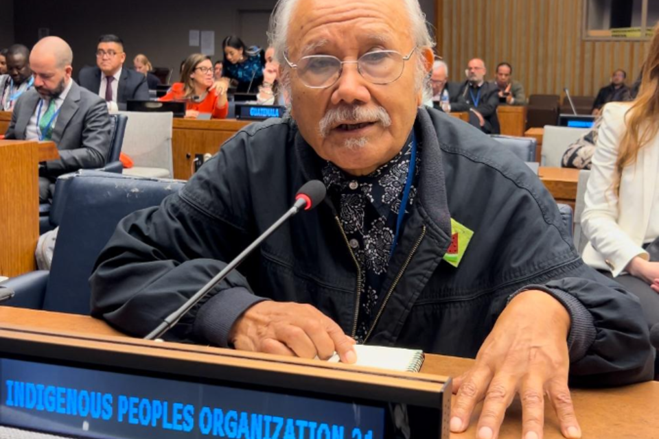 Denuncian a Milei en el Foro Permanente para Cuestiones Indígenas de la ONU 