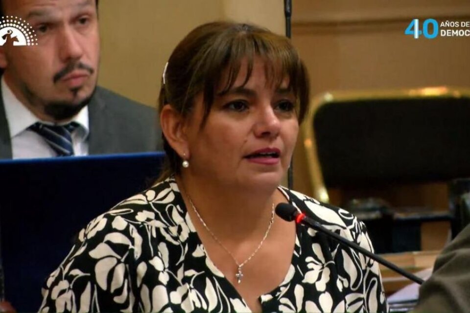 Soledad Farfán será la nueva presidenta de la UCR en Salta.