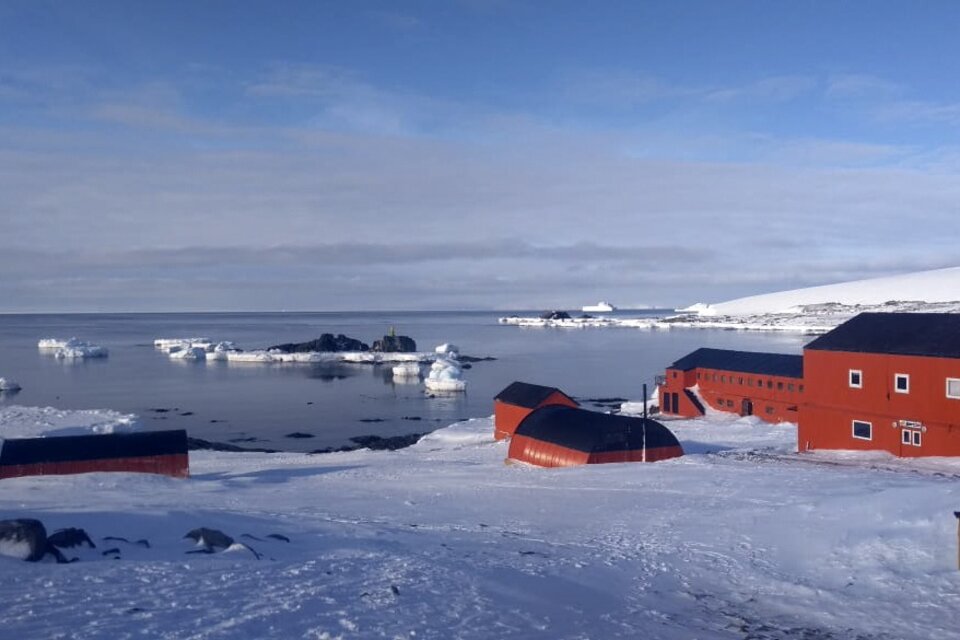 La trastienda del anuncio ruso sobre la reserva de petróleo en la Antártida