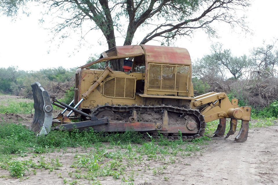 La máquina usada para el desmonte ilegal.