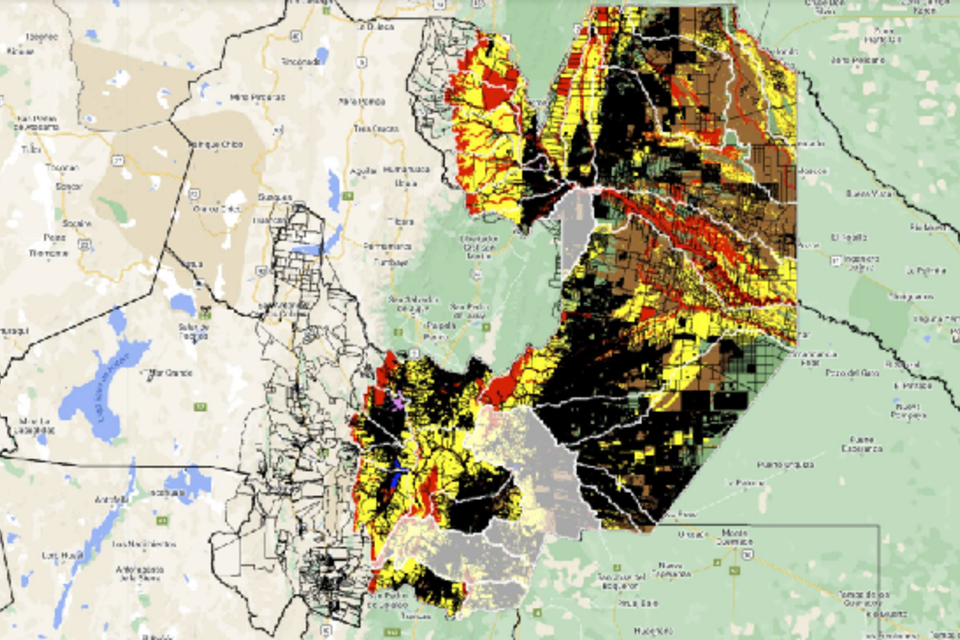 Autorizarán 20 mil hectáreas de desmonte en Salta