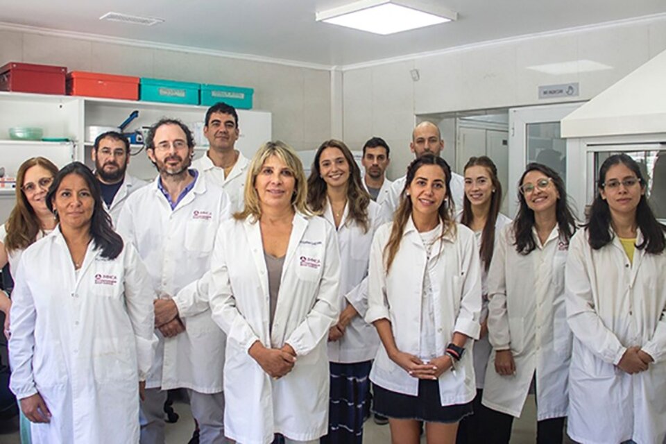 El equipo argentino multidisciplinario que trabaja el mal de Parkinson.