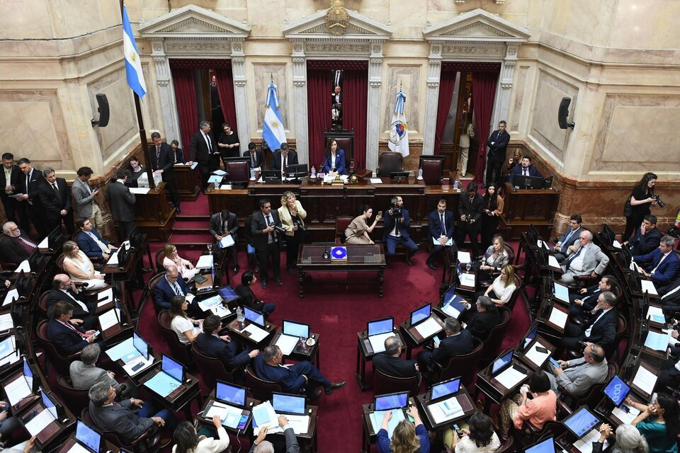 El Duro Pronóstico De Una Senadora Peronista Por La Ley Bases: "La Veo ...