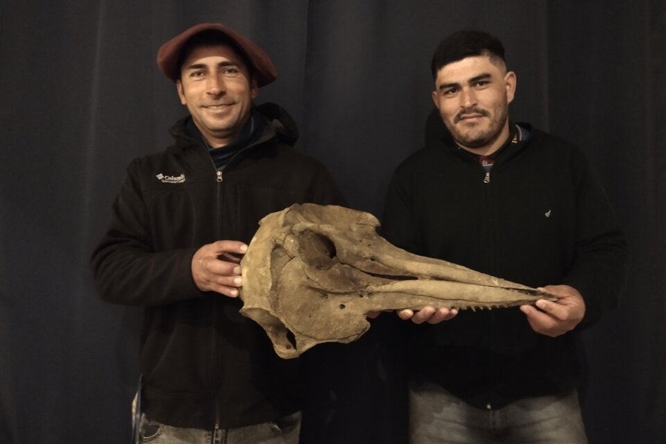 Los pescadores Damián Crispien y Pablo Silva hallaron el cráneo del delfín en el riacho Baradero. (Fuente: EFE)