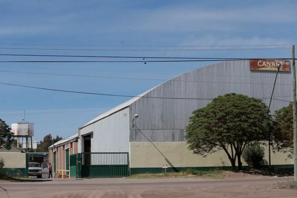 Canale produce en San Rafael desde 1942