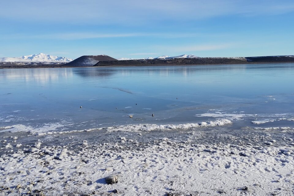 La Laguna Blanca de Neuquén se congeló por las bajas temperaturas de este invierno. (Imagen: Parques Nacionales)