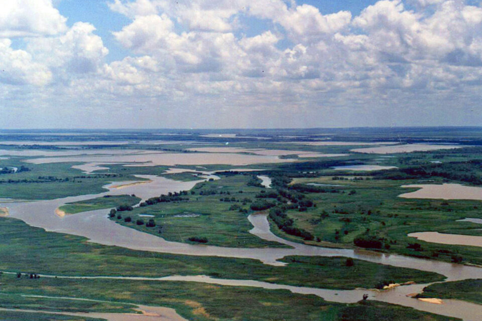 Alerta en Entre Ríos por un proyecto que habilitaría la venta de 190 mil hectáreas del Delta del Paraná