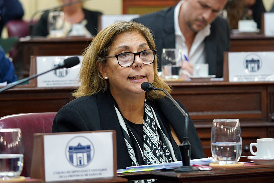 Sonia Martorano, diputada y ex ministra de Salud. (Fuente: Prensa Diputados)
