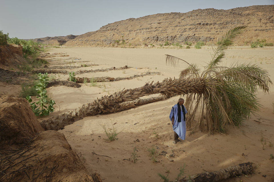 Un oasis devastado por el cambio climático (Fuente: AFP)