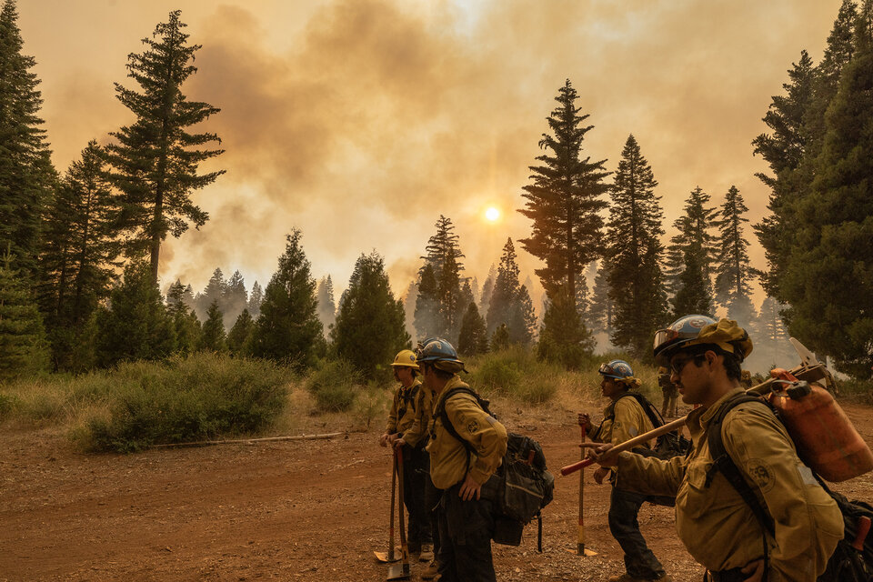 Los fuertes vientos y la vegetación seca alimentaron el fuego que arrasó con alrededor de 30 mil hectáreas en las primeras 24 horas (Fuente: AFP)