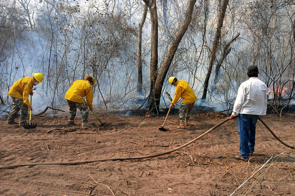 Iintegrantes del III Cuerpo del Ejército y de la Sexta División de Infantería controlando un incendio  (Fuente: EFE)