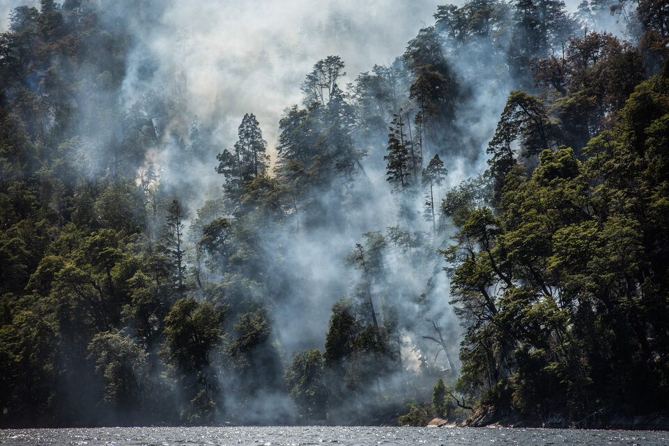 Incendio PN Nahuel Huapi Brazo Tristeza. Crédito: Alejandra Bartoliche, Greenpeace