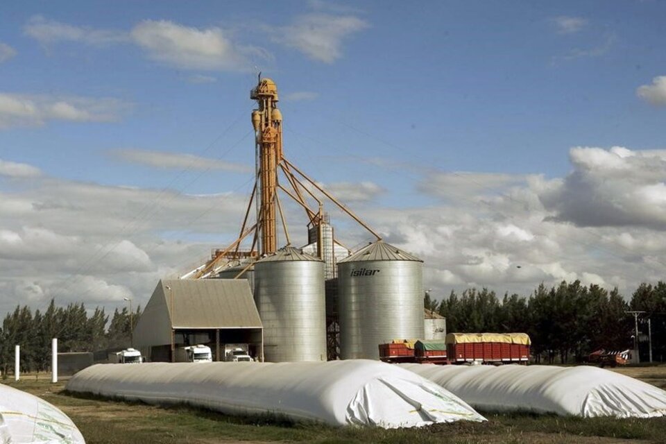 El titular de Cámara de la Industria Aceitera, Gustavo Idígoras, estimó que si el Gobierno baja las retenciones de 33 a 25% sería posible liquidar 5000 millones de dólares en los próximos seis meses. (Fuente: AFP)