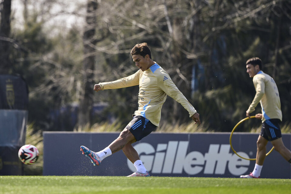 Selección Argentina: Mac Allister y Nico González, entre algodones