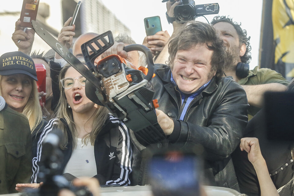 La motosierra, en campaña. (Fuente: Leandro Teysseire)