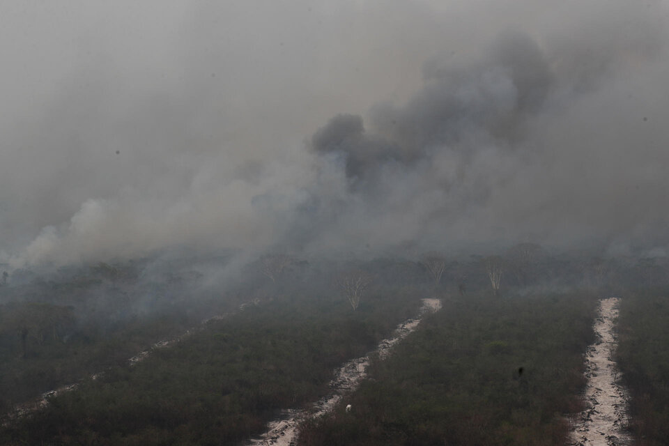 Ya son más de 184 mil las hectáreas afectadas por los incendios forestales en Paraguay  (Fuente: EFE)