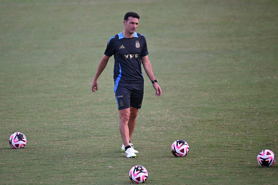 El técnico campeón del mundo Lionel Scaloni (Fuente: AFP)