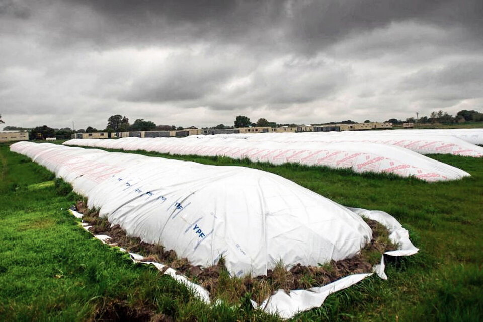 Hay 12.000 millones de dólares esperando en las silobolsas. (Fuente: Verónica Bellomo)