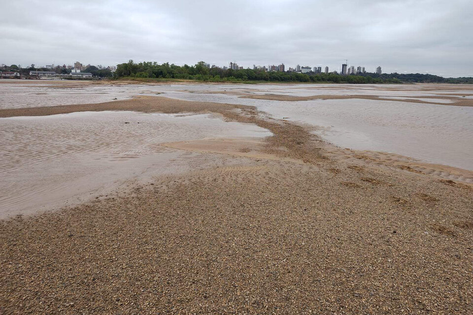 En algunos lugares el Paraná podría convertirse en un arroyo. (Fuente: Redes sociales)