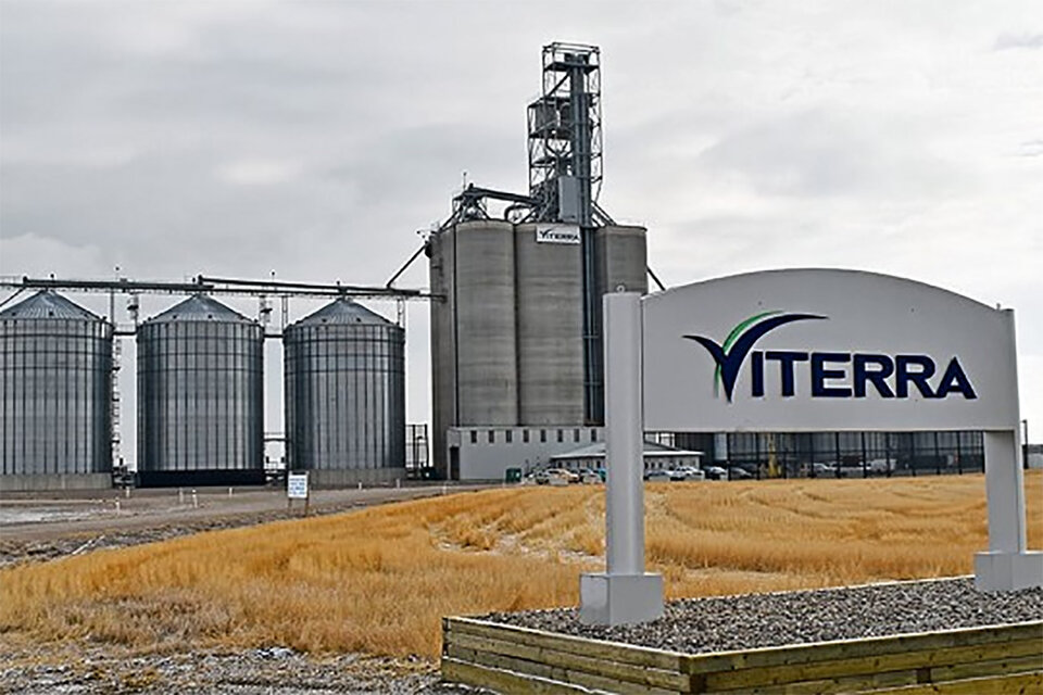 Bunge y Viterra pasarían a exportar el 61% del aceite de girasol del país (Fuente: Imagen web)